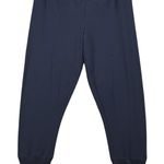 Sympli Crop Pant Minimalist Lagenlook Slinky Stretch Travel Quiet Luxury Comfort Blue Size 14 Photo 0