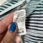 Smartwool  Blue Striped Merino‎ Sport Lined Shorts Photo 6