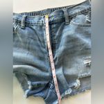 Aerie Love Tree Double Buttoned Paper Bag Waistband Denim Shorts Photo 5