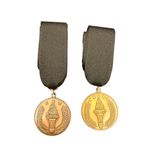 Mary Kay Bundle of (2) Bronze and Gold Medals Prize Achievements Black Photo 0