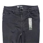 DG2 Diane Gilman Up Photo 3