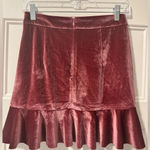 Dress Forum NWT  Mini Skirt Photo 1