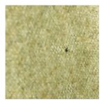 Ralph Lauren RRL Vintage Wool Green Embroidered Knee-Length Skirt 10 Photo 4