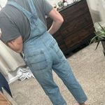Wild Fable Overalls Photo 1