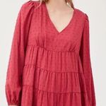 Urban Outfitters ‼️ Textured Long Sleeve Frock Dress‼️ Photo 0