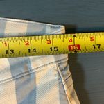 Hudson Jeans Hudson Blue and White Striped Skinny Jeans | Size 29 Photo 6