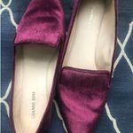Gianni Bini Flats Photo 1