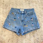 PacSun Flower Mom Shorts Photo 0