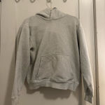 Aritzia Hoodie  TNA Photo 0