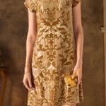 Sundance  Champagne Vineyard Silk blend Burnout Velvet Party Dress Size 6 Photo 1