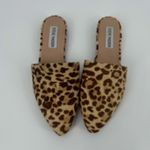 Steve Madden Trace Mule Womens Shoes Sz 6M Leopard Festival Indie Fur Safari Photo 3