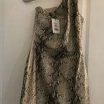 Showpo Dress Photo 0