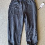 AG Adriano Goldschmied NWT AG Jeans Sweatpants Photo 0