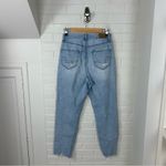 American Eagle Light Wash Distressed Curvy Mom Jean Size 4 Photo 8