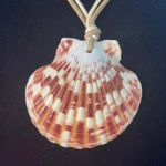 Two tone LEATHER & SEA SHELL SURFER TRIBAL DOUBLE CHOKER/ adjustable NECKLACE Photo 1