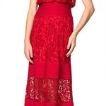 Tadashi Shoji Red Lace Illusion Maxi Gown Women’s Size 4 Formal Evening Dress Photo 0