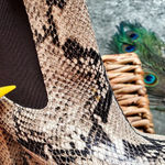 Sam Edelman Abella Platform Snake Embossed Boots Photo 8