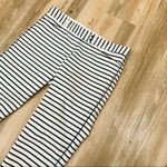 The Limited  Navy Blue and white cropped pants sz 6 Photo 43