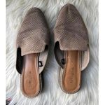Indigo Rd Taupe Suede Slip Photo 0