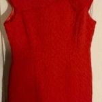 Sandra Darren New Textured Sheath Dress w/
Bow Accent Oval Geometric Pattern 16 Photo 0