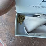 NWT A.Cloud brown crocodile Clutch shoulder bag with gold chain straps Photo 3