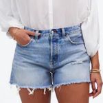 Madewell The Curvy Brynn Denim Jeans Shorts in Hallstead Wash Size 30 Photo 1