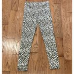 American Eagle  leopard high rise jegging jean 4 Photo 12