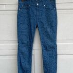 7 For All Mankind Pants The Skinny Moroccan Blue Jacquard 30 7FAM Womens Photo 2