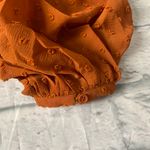 Lulus Swiss Dot Long Sleeve Top Photo 5