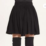 Goldie NWOT  Dirndl Skirt Sz L Photo 2