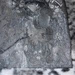 Escada Margaretha Ley Skirt Gray Size undefined Photo 1