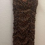 EXPRESS  Cheetah Print Dress Photo 0