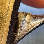 Caparros Melodie Sequin Bow Tie Heels Photo 7