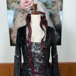 None Funky Victorian Gothic Velvet Costume! Photo 4