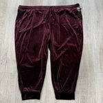 Torrid Red Wine Pull-On Relaxed Taper Velvet High-Rise Pants - Size 28 (5) Photo 2