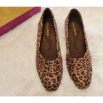 Easy Street  Sz 8.5 Super Suede Leopard Peace Comfort Pumps 1 Inch Heel New in Bo Photo 2