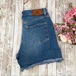 Ralph Lauren Lauren High Waist Mom Shorts Size 6 Photo 5