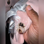 Finders Keepers  Dress size 2. NWT Photo 9