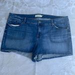 Torrid  Medium Wash High Rise Denim Shorts Photo 1