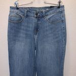 Faded Glory  blue denim flare jeans Photo 1