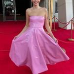 NWOT ALex Perry Powell vinyl dress Size 4 Photo 1