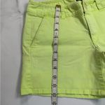 American Eagle  Outfitters Green Flat Front Shorts Photo 1