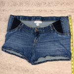 Isabel Maternity  shorts in size 12 Photo 5
