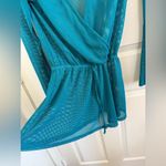 Francesca's Francesca’s Mesh Dress Swim Coverup Photo 1
