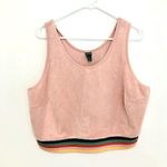 Wild Fable NEW NWT Plus Size Velour Cropped Tank Crop Top Pink Rainbow Gay Pride Photo 1