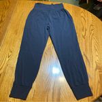 Athleta  Salutation Jogger in Powervita Size Small Photo 2