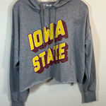 Zoozatz  Women’s Gray Iowa State Hoodie Medium Photo 0