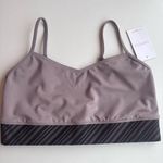 Capezio Toronto Brown Sheer Black Dancewear Sports Bra Top Size Large New Gray Photo 0