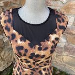 XOXO Animal Print Skater Dress Photo 5