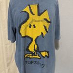 ZARA Peanuts Licensed T-Shirt by Blue Woodstock Front & Back Graphics Size M Photo 1